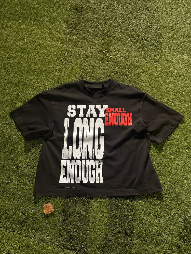 Stay small enough long enough